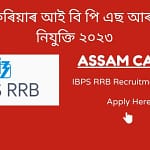 Assam Career IBPS RRB Recruitment 2023