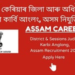 Assam Career District & Sessions Judge Karbi Anglong, Assam Recruitment 2023