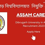 Assam Career Dibrugarh University in Assam Recruitment 2023
