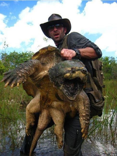 Largest Freshwater Turtle